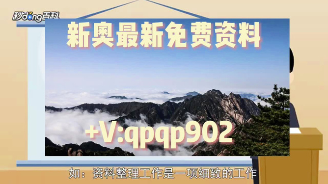 2024新奧正版資料免費提供，探索知識海洋的免費航船，2024新奧正版資料全解析，免費探索知識海洋的航船已啟航