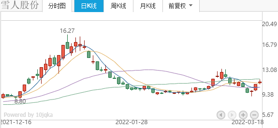 雪人股份還會大漲嗎，深度分析與展望，雪人股份未來走勢展望，大漲可能性深度分析