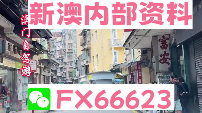 新奧精準(zhǔn)免費(fèi)資料提供，探索與啟示，新奧精準(zhǔn)免費(fèi)資料探索，啟示與分享