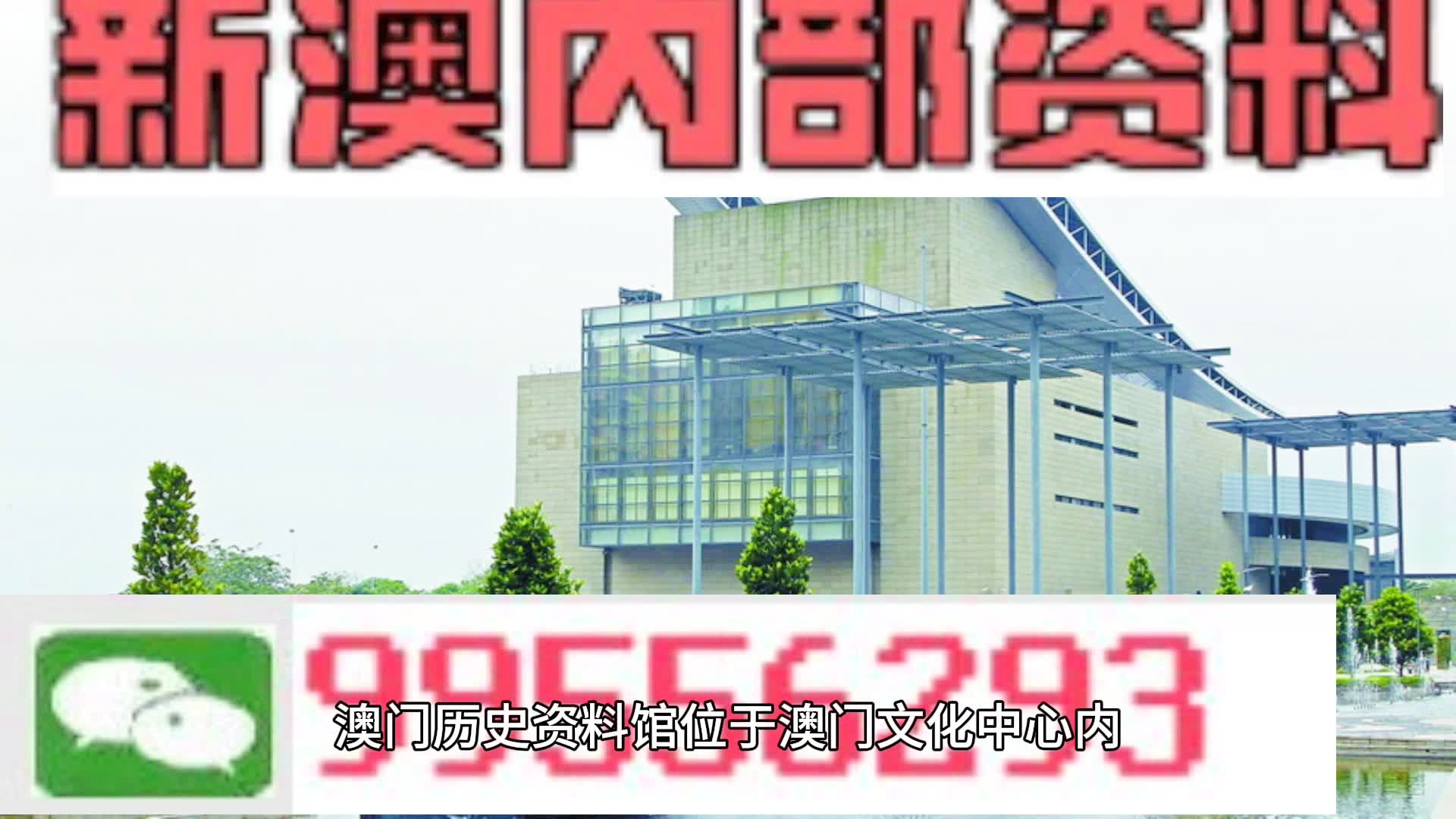 關于新澳2024年精準一肖一碼，一個關于違法犯罪問題的探討，關于新澳2024年精準一肖一碼，違法犯罪問題的探討與警示