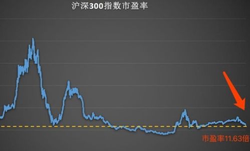 浙大網新歷史最高股價，探索背后的力量與未來展望，浙大網新歷史最高股價背后的力量與未來展望