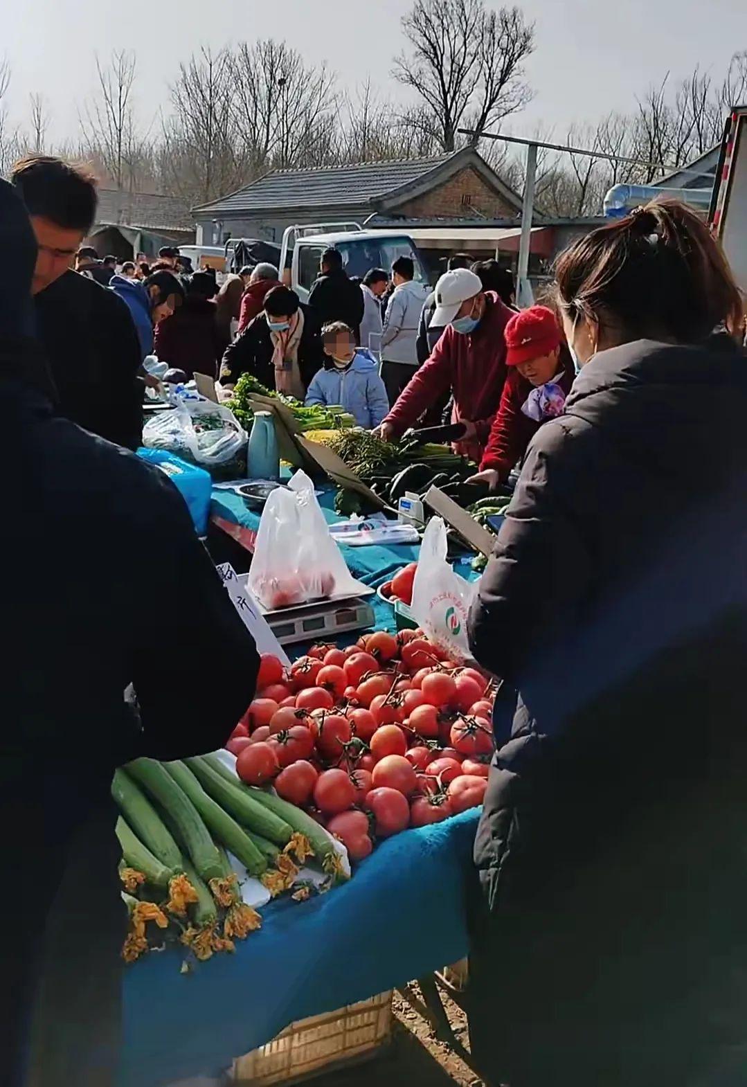 供銷大集，明日走勢預測與市場分析，供銷大集明日走勢預測及市場分析概覽