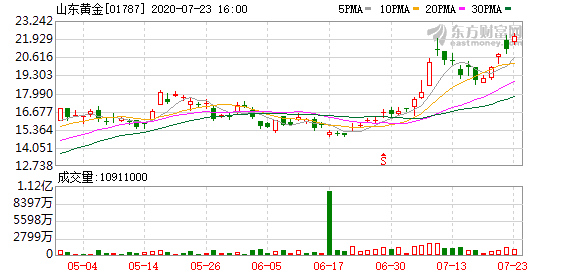 山東黃金股票，長期持有的價值與風(fēng)險分析，山東黃金股票長期持有的價值與風(fēng)險解析