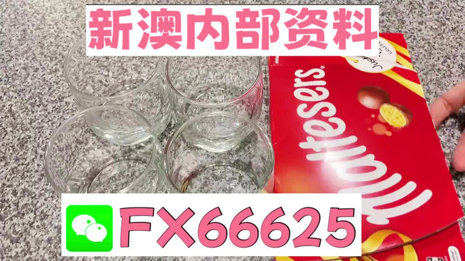 澳門正版資料免費大全新聞，揭示違法犯罪問題的重要性與應對之道，澳門正版資料免費大全新聞，違法犯罪問題的應對之道與重要性揭秘