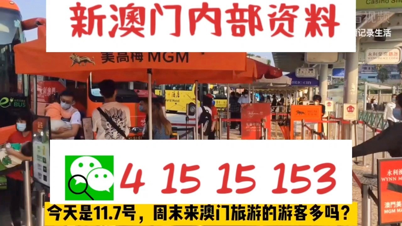 警惕虛假信息陷阱，關于新澳門資料及家野中特的真相揭示，揭秘新澳門資料與家野中特真相，警惕虛假信息陷阱