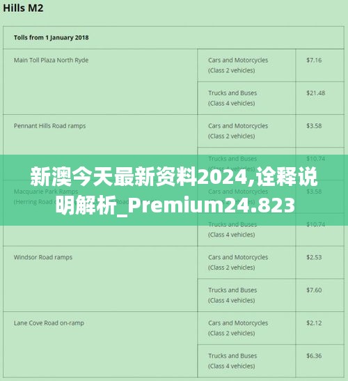 新澳2024年正版資料免費大全,專業(yè)研究解析說明_Notebook31.609