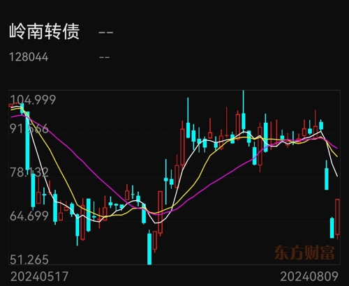 嶺南股份股票值得長期持有嗎？，嶺南股份股票長期持有價值分析