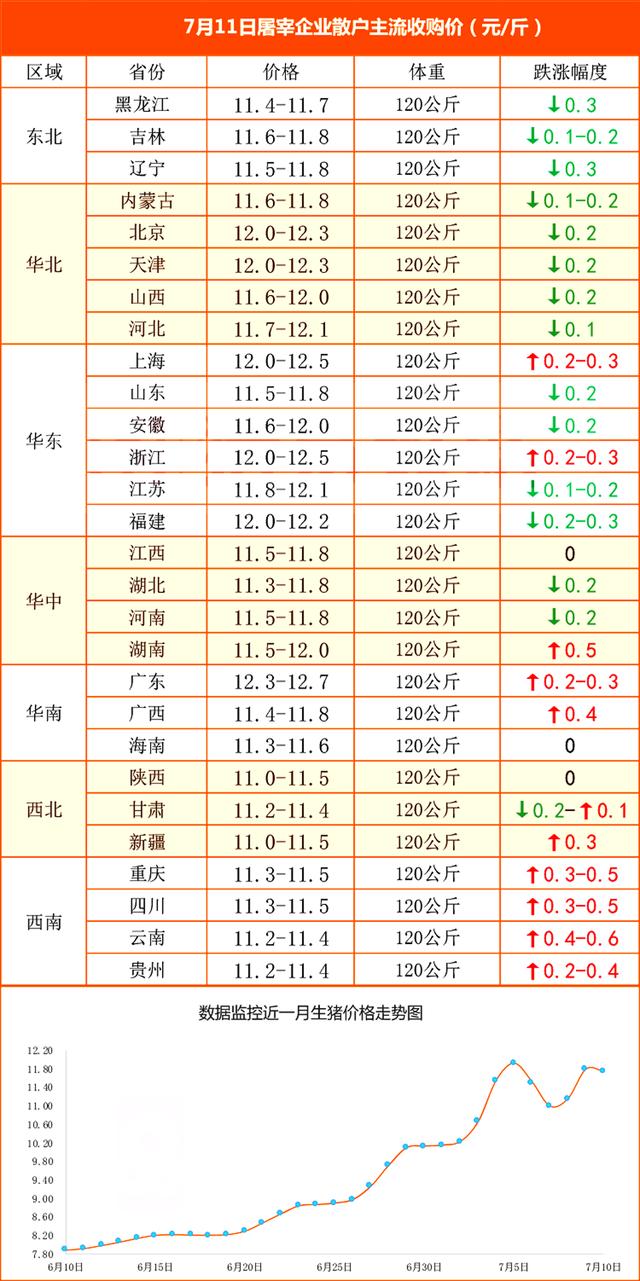 12月豬價(jià)暴跌令養(yǎng)殖戶措手不及——行業(yè)分析與應(yīng)對策略，12月豬價(jià)暴跌背后的行業(yè)分析與應(yīng)對策略