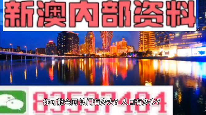 關于澳門博彩業與法律法規的探討——警惕違法犯罪風險，澳門博彩業法律法規探討，警惕潛在違法犯罪風險