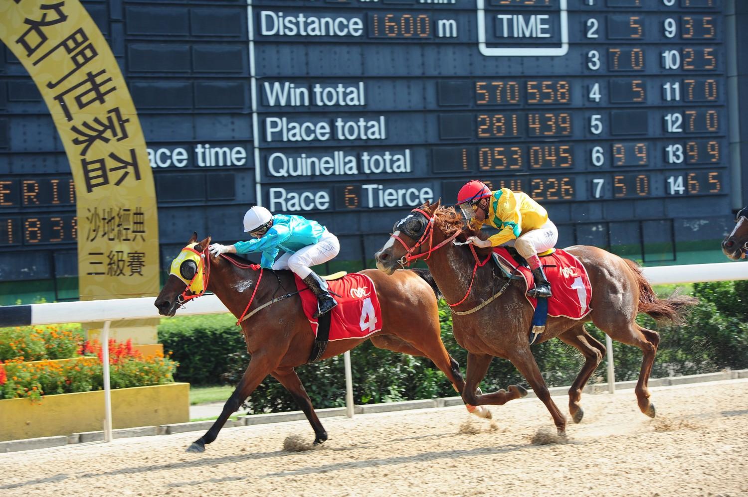 澳門馬會會員資料公開，機遇與挑戰(zhàn)并存，澳門馬會會員資料公開，機遇與挑戰(zhàn)的并存