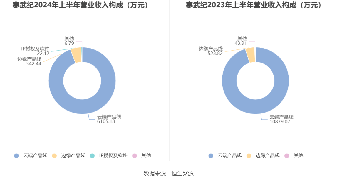 寒武紀(jì)公司是否會因虧損退市？分析其在未來的經(jīng)營挑戰(zhàn)與機遇，寒武紀(jì)公司未來經(jīng)營挑戰(zhàn)與機遇分析，虧損退市風(fēng)險及未來發(fā)展展望