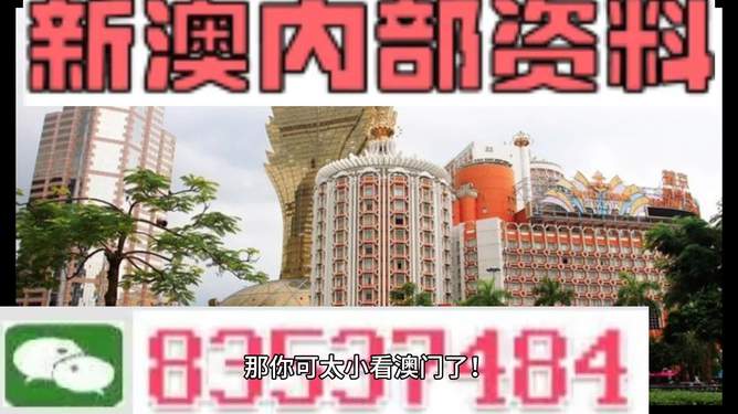 澳門內部資料精準大全2023——警惕違法犯罪風險，澳門內部資料精準大全背后的風險，警惕違法犯罪威脅 2023年警惕篇