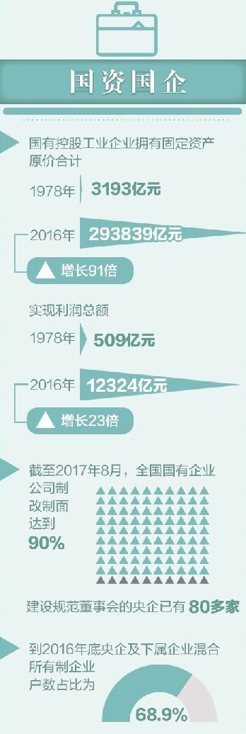 國資改革最新資訊深度解讀，國資改革最新資訊深度解讀與分析