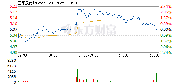 正平股份重組最新消息，重塑企業架構，開啟新篇章，正平股份重組重塑企業架構，開啟發展新篇章