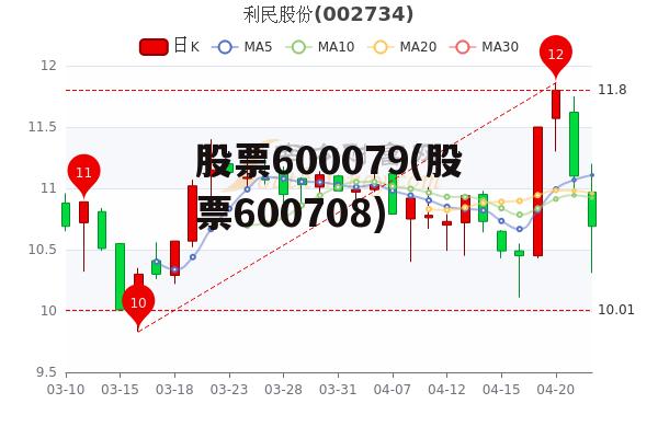 深度解析，600079股票的投資價值與前景展望，深度解析，600079股票投資價值與前景展望分析