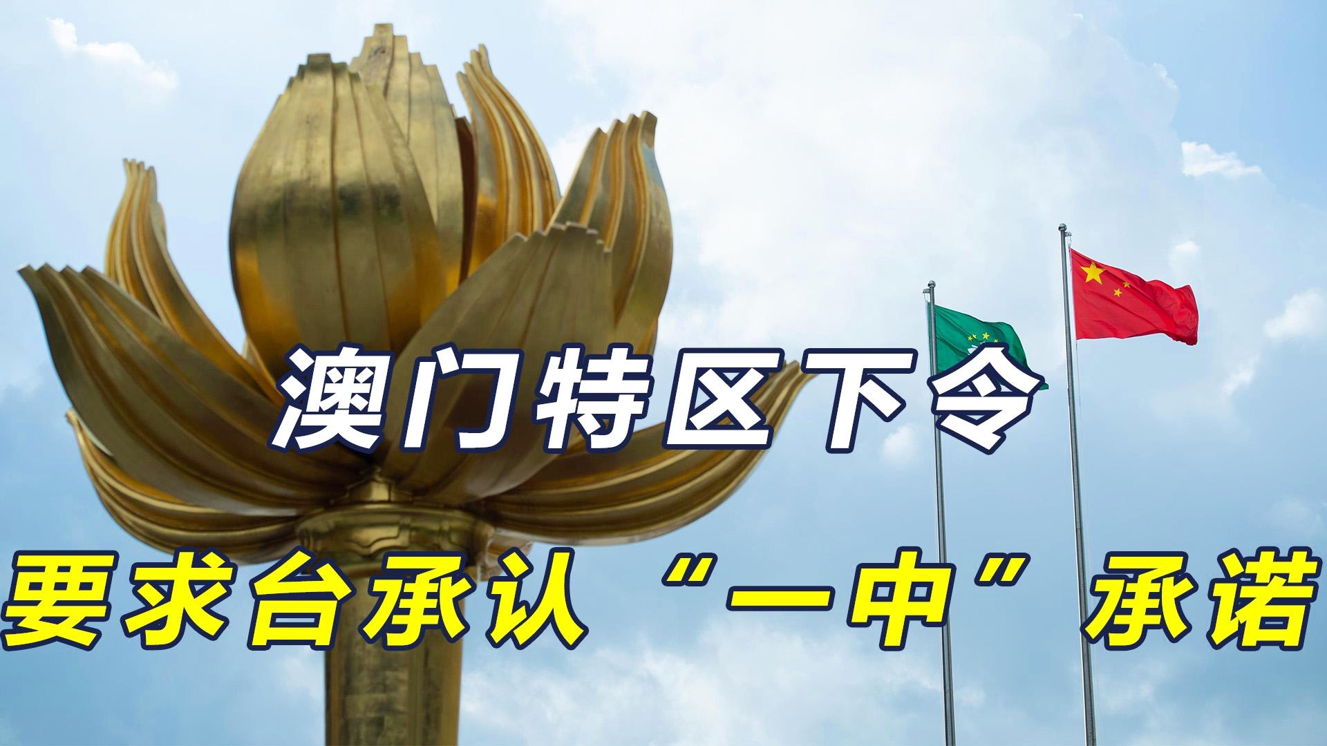 澳門一碼一肖一恃一中312期，探索與解讀，澳門一碼一肖一恃一中探索解讀，揭秘背后的秘密與奧秘