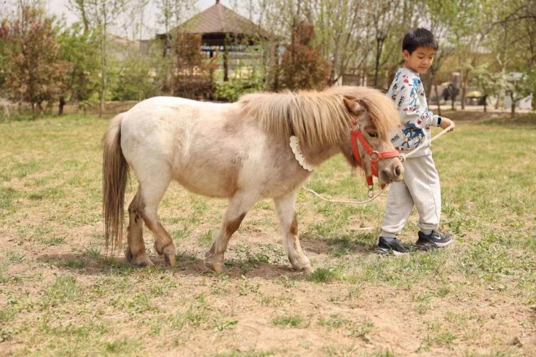 澳門天天開馬結果出來318期，探索與解析，澳門318期開馬結果深度探索與解析