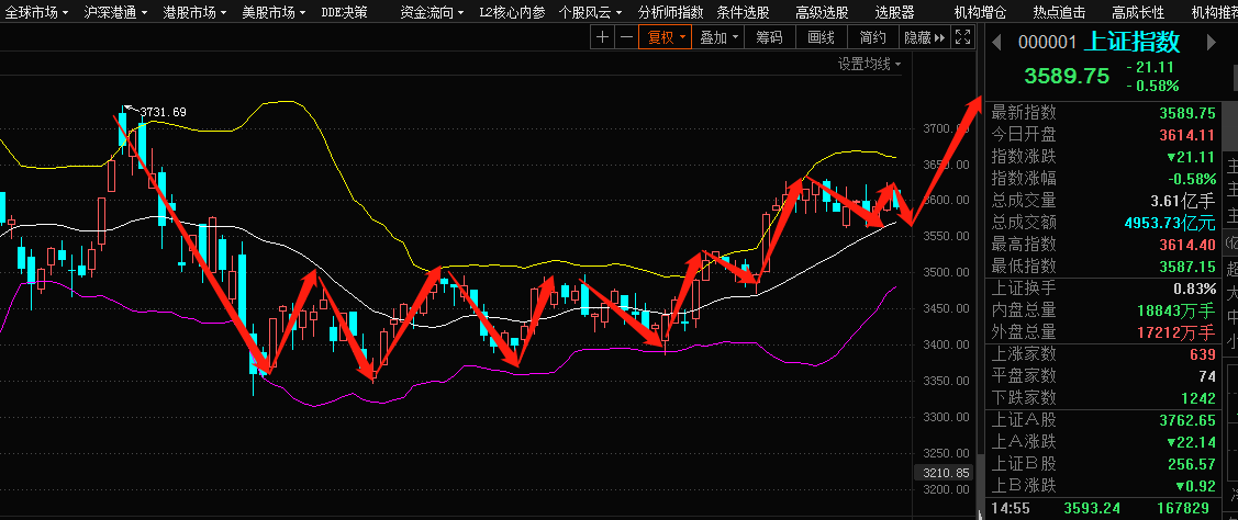 今日最新股票行情分析，今日股票行情深度解析