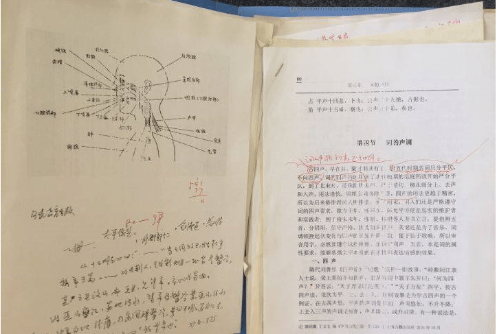 專家解讀：三肖三期必出特肖資料的最新研究成果