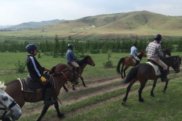 澳門特馬今晚開獎，探尋彩票背后的故事與期待，澳門特馬今晚開獎，探尋彩票背后的故事與期待之夜