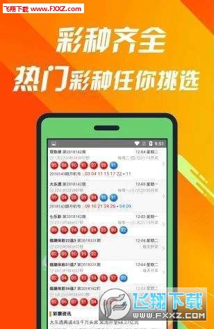 關于王中王504三肖的探討，王中王504三肖深度探討