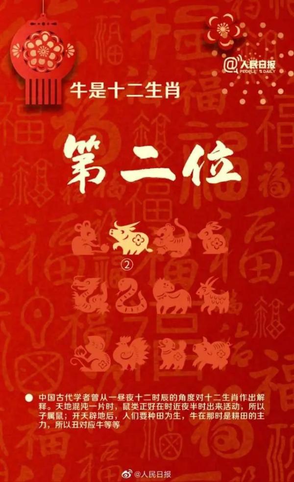 三肖必中三期必出資料——揭示違法犯罪背后的真相，揭秘三肖必中三期必出資料背后的犯罪真相