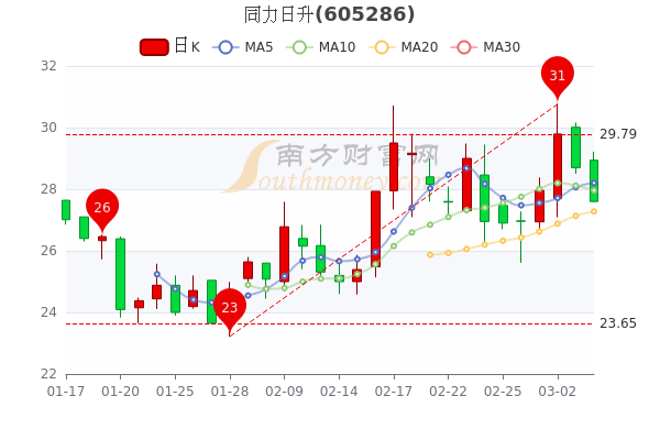 同力股份股票，探究其背后的力量與價值，同力股份股票，探究背后的力量與價值的深度解析