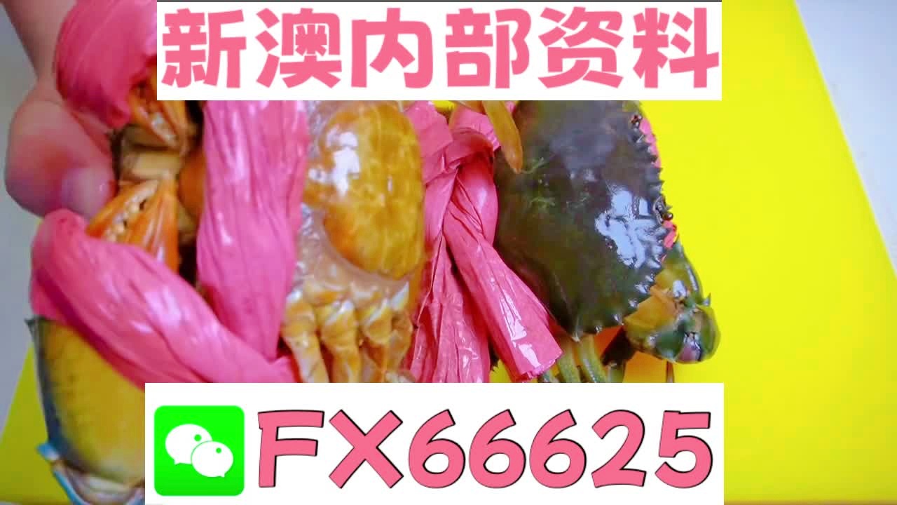 探索未來之門，2025新澳精準資料大全，探索未來之門，2025新澳精準資料大全概覽