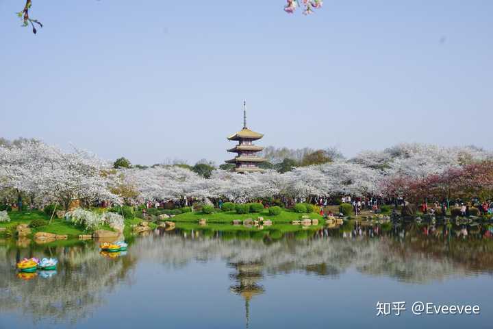 武漢哪里好玩——探尋江城之美，武漢江城之美探秘——最佳游玩指南