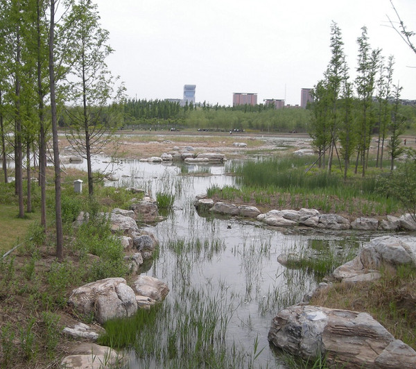 奧林匹克公園門(mén)票政策及游客體驗(yàn)探討，奧林匹克公園門(mén)票政策與游客體驗(yàn)深度探討