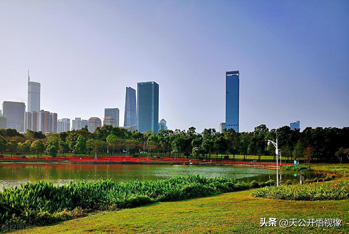 深圳游玩景點大全，探尋這座城市的魅力所在，深圳魅力之旅，游玩景點大全探索城市魅力