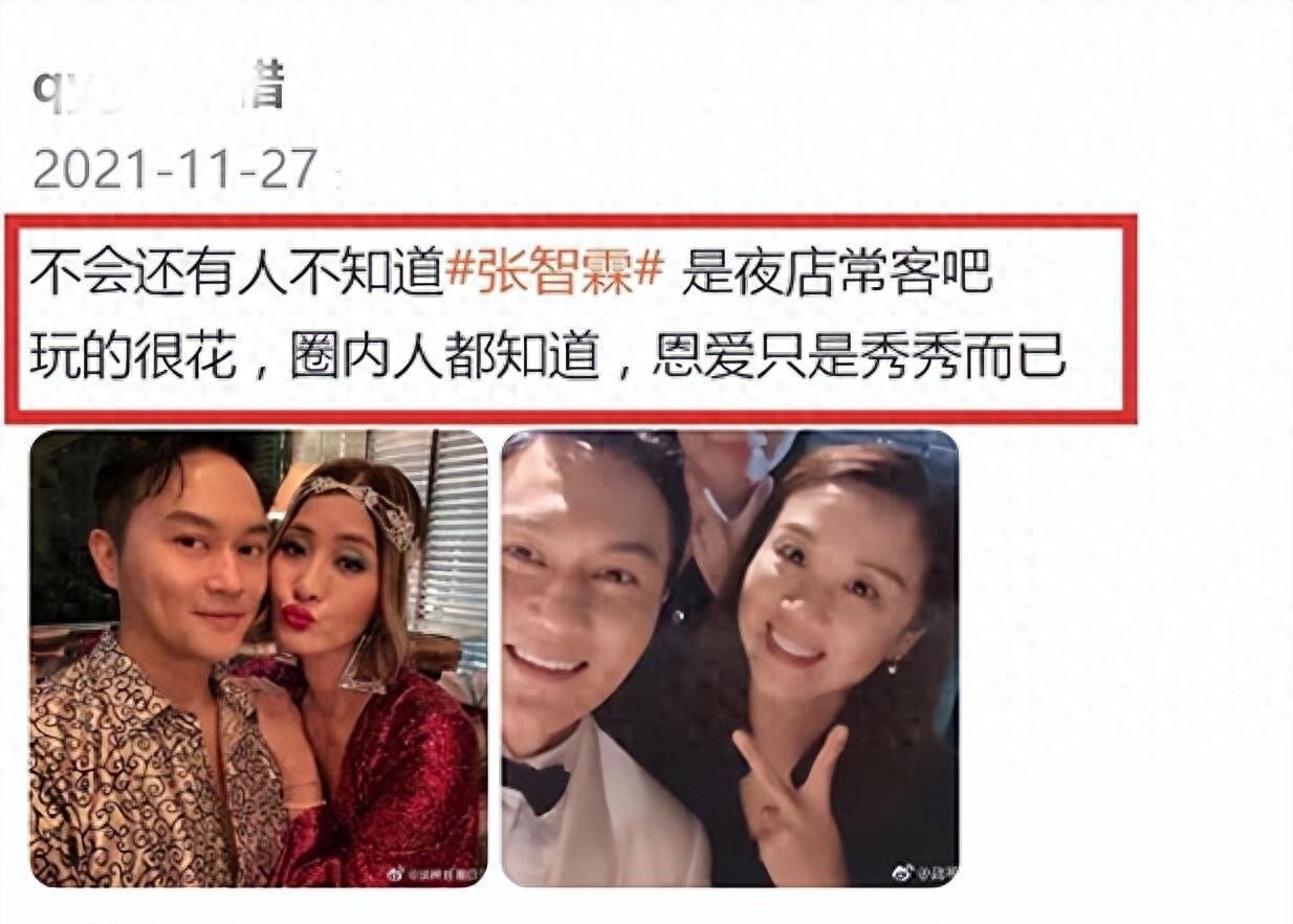 袁詠儀張智霖，無性的愛情與婚姻，袁詠儀張智霖，愛情與婚姻的無性探討