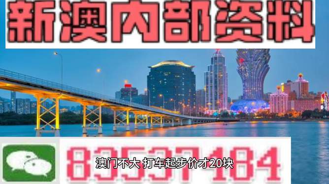 澳門未來展望，聚焦2025新澳門資料大全（第123期），澳門未來展望，聚焦新澳門資料大全（第123期展望至2025年）