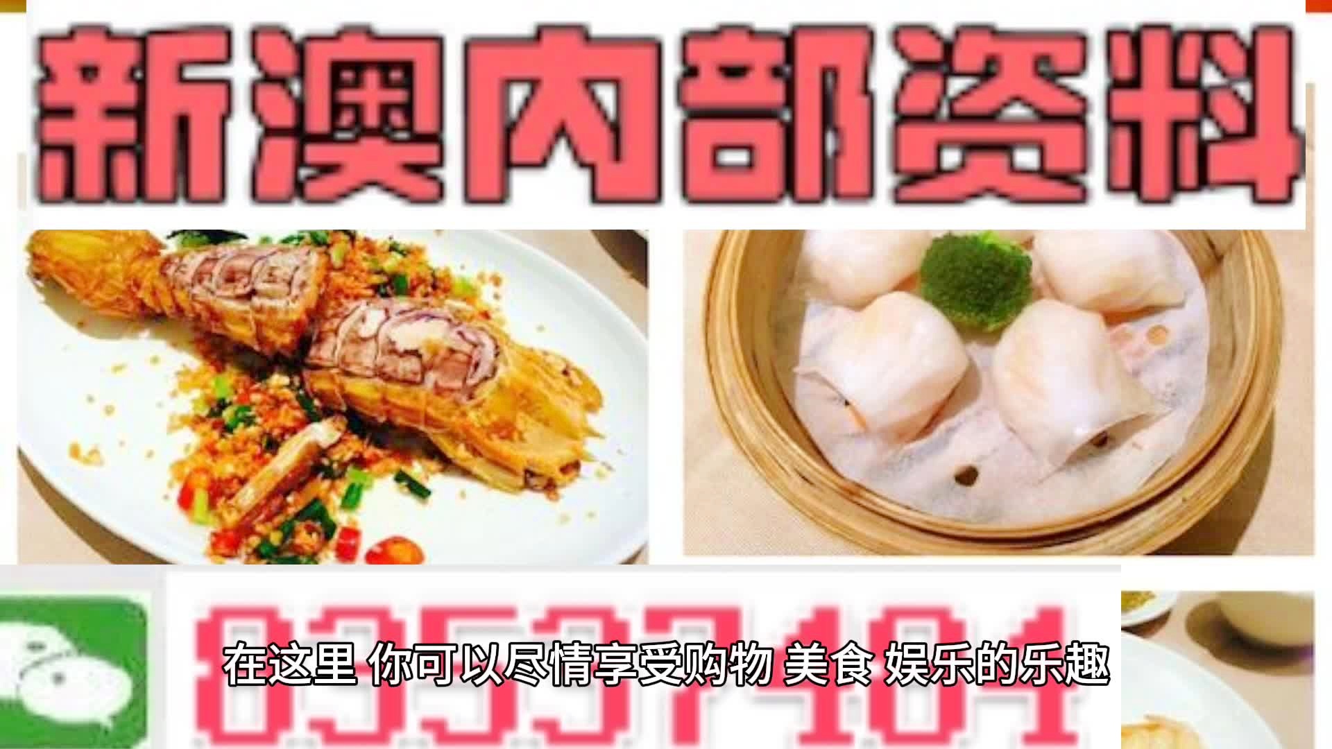 新奧天天精準資料大全，探索與解析，新奧天天精準資料大全，深度探索與全面解析