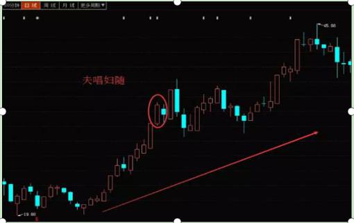 丹邦科技股票行情深度解析，丹邦科技股票行情全面解析