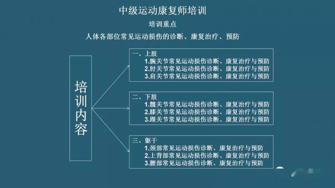 運動康復師收入狀況探究，運動康復師收入狀況深度解析