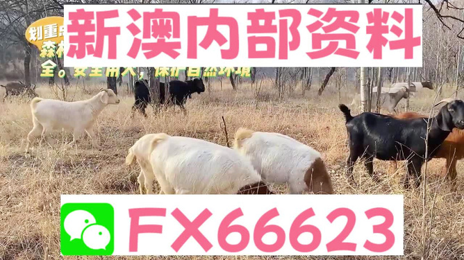 新澳2025今晚開獎資料四不像，深度分析與預測，新澳2025今晚開獎資料解析與深度預測