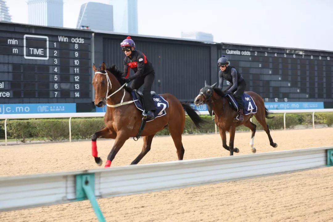 澳門賽馬會，歷史、文化與激情的交融，澳門賽馬會，歷史、文化與激情的盛會